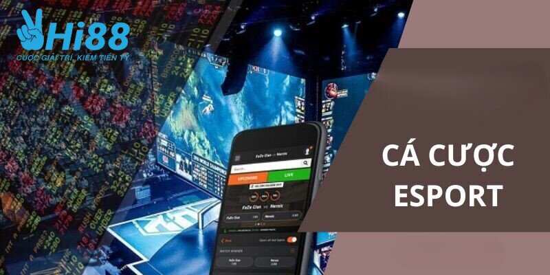 Cá cược Esports HI88